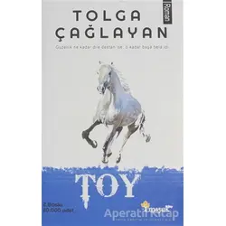 Toy - Tolga Çağlayan - Maşuk Kitap
