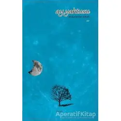 Ay Yaktusu - Abdurrahman Adıyan - İbrişim Kitap