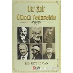 Her Şair Ölümü Tadacaktır - Şemsettin Can - Puslu Yayıncılık