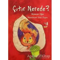 Çıtır Nerede?(Çalışma Kitabı Hediyeli) - Münevver Oğan - Yeni Umut Yayınları