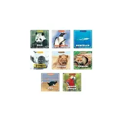 Hayvanlar Dünyası Serisi Set 8 Kitap - Yumurcak Yayınları