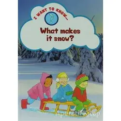 What Makes It Snow? - Helena Ramsay - Evans Yayınları