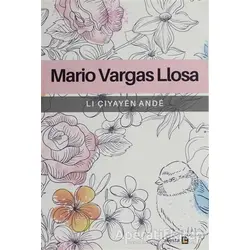 Li Çiyayen Ande - Mario Vargas Llosa - Avesta Yayınları