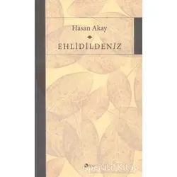 Ehlidildeniz - Hasan Akay - Şule Yayınları
