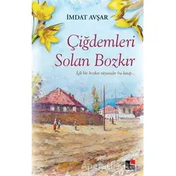 Çiğdemleri Solan Bozkır - İmdat Avşar - Kesit Yayınları