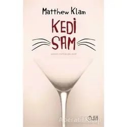Kedi Sam - Matthew Klam - Aylak Adam Kültür Sanat Yayıncılık