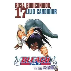 Bleach 17. Cilt - Tite Kubo - Gerekli Şeyler Yayıncılık
