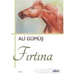 Fırtına - Ali Gümüş - Favori Yayınları