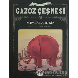Gazoz Çeşmesi - Mevlana İdris - Vak Vak Yayınları