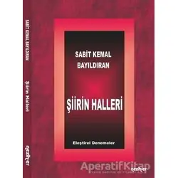 Şiirin Halleri - Sabit Kemal Bayıldıran - Neziher Yayınları