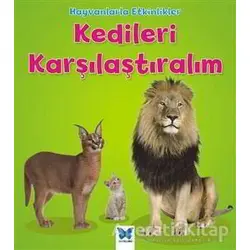 Hayvanlarla Etkinlikler - Kedileri Karşılaştıralım - Tracey Steffora - Mavi Kelebek Yayınları