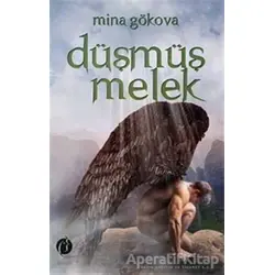 Düşmüş Melek - Mine Gökova - Herdem Kitap
