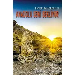 Anadolu Seni Bekliyor - Enver Bahçekapılı - Artikel Yayıncılık
