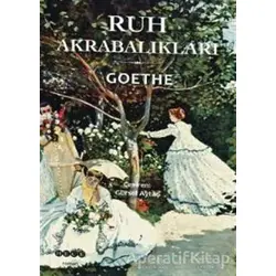 Ruh Akrabalıkları - Johann Wolfgang von Goethe - Hece Yayınları