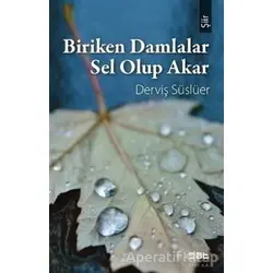 Biriken Damlalar Sel Olup Akar - Derviş Süslüer - Mat Kitap