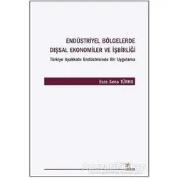 Endüstriyel Bölgelerde Dışsal Ekonomiler ve İşbirliği - Esra Sena Türko - Kriter Yayınları