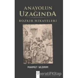 Anayolun Uzağında - Mahmut Yıldırım - Post Yayınevi