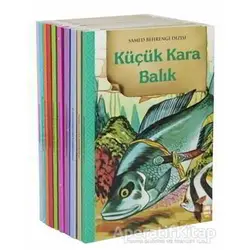Samed Behrengi Dizisi - 10 Kitap Takım - Samed Behrengi - Ema Genç