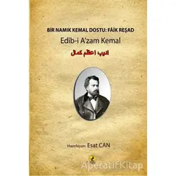 Bir Namık Kemal Dostu: Faik Reşad - Esat Can - Ceren Yayıncılık