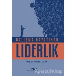Çalışma Hayatında Liderlik - Murat Çolak - Kitapana Yayınevi