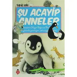 Şu Acayip Anneler - Tarık Uslu - Uğurböceği Yayınları