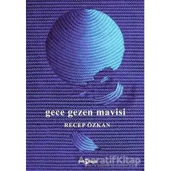 Gece Gezen Mavisi - Recep Özkan - Hayal Yayınları