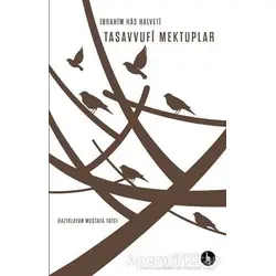Tasavvufi Mektuplar - İbrahim Has Halveti - H Yayınları