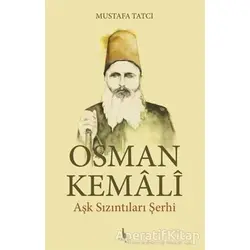 Osman Kemali Aşk Sızıntıları Şerhi - Mustafa Tatcı - H Yayınları