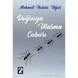 Doğruya Ulaşma Çabası - Mehmet Hulusi Uğur - İştirak Yayınevi