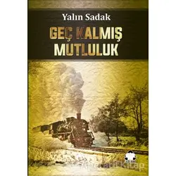 Geç Kalmış Mutluluk - Yalın Sadak - Alan Yayıncılık