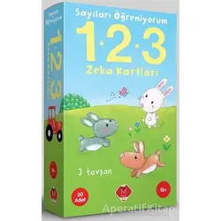 Sayıları Öğreniyorum 1 - 2 - 3 - Kolektif - Mikado Yayınları