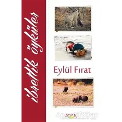 İbretlik Öyküler - Eylül Fırat - Ayata Kitap