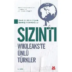 Sızıntı - Barış Pehlivan - Kırmızı Kedi Yayınevi