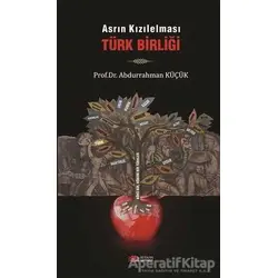 Asrın Kızılelması Türk Birliği - Abdurrahman Küçük - Berikan Yayınları