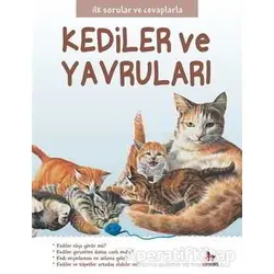 Kediler ve Yavruları - İlk Sorular ve Cevaplarla - Camilla de la Bedoyere - Almidilli