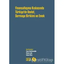 Finansallaşma Kıskancında Türkiyede Devlet Sermaye Birikimi ve Emek - Kolektif - Nota Bene Yayınları