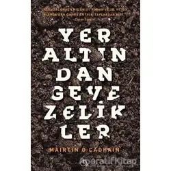 Yeraltından Gevezelikler - Mairtin O Cadhain - Aylak Adam Kültür Sanat Yayıncılık