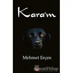 Karam - Mehmet Erçen - Babıali Kitaplığı