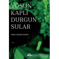 Yosun Kaplı Durgun Sular - Arzu Arabacıoğlu - Potkal Kitap Yayınları