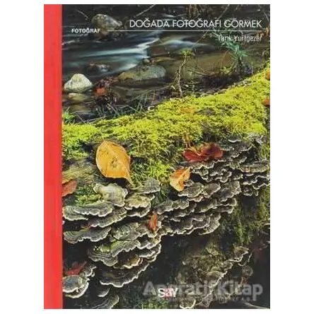 Doğada Fotoğrafı Görmek - Tarık Yurtgezer - Say Yayınları