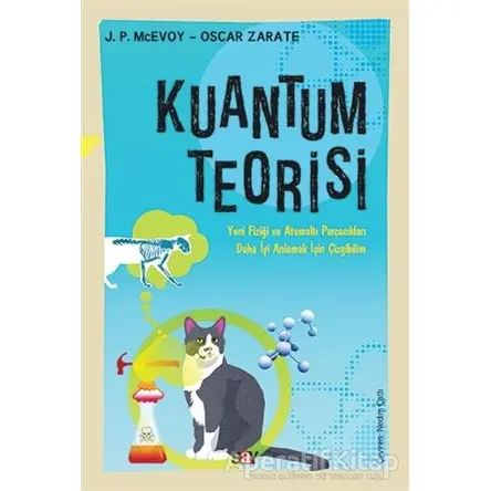 Kuantum Teorisi - J. P. McEvoy - Say Yayınları