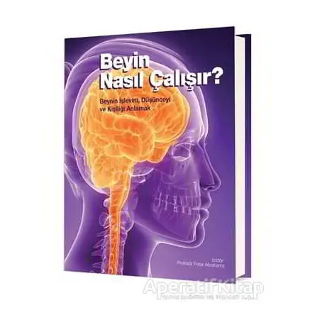 Beyin Nasıl Çalışır? - Peter Abrahams - ODTÜ Geliştirme Vakfı Yayıncılık