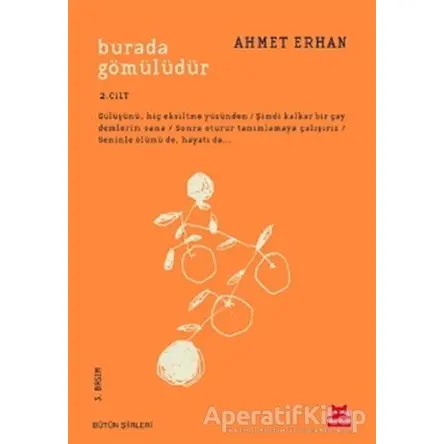 Burada Gömülüdür 2. Cilt - Ahmet Erhan - Kırmızı Kedi Yayınevi