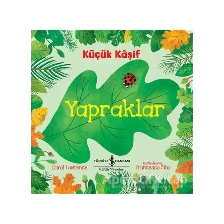 Yapraklar - Küçük Kaşif - Carol Lawrence - İş Bankası Kültür Yayınları