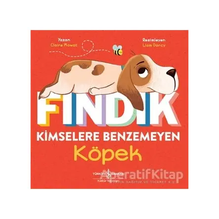 Fındık Kimselere Benzemeyen Köpek - Claire Mowat - İş Bankası Kültür Yayınları