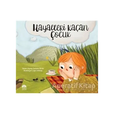 Hayalleri Kaçan Çocuk - Zeynep Birsin - Martı Çocuk Yayınları