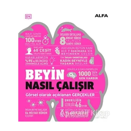 Beyin Nasıl Çalışır - Kolektif - Alfa Yayınları