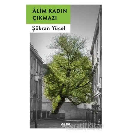 Alim Kadın Çıkmazı - Şükran Yücel - Alfa Yayınları