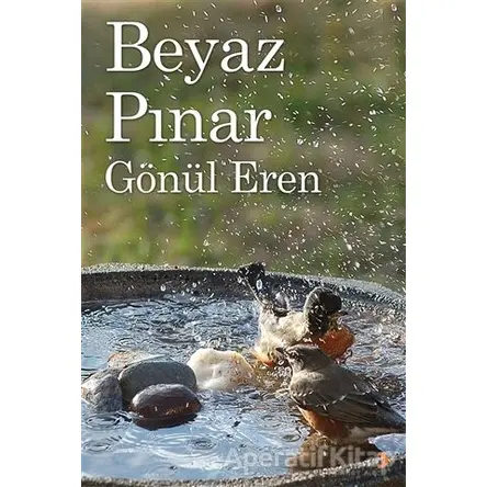 Beyaz Pınar - Gönül Erenler - Cinius Yayınları