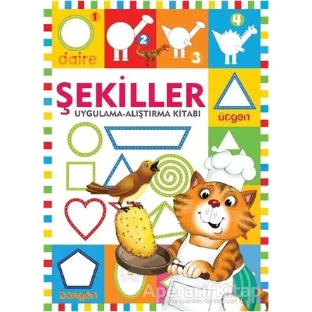 Şekiller / Uygulama - Alıştırma Kitabı - Kolektif - Halk Kitabevi